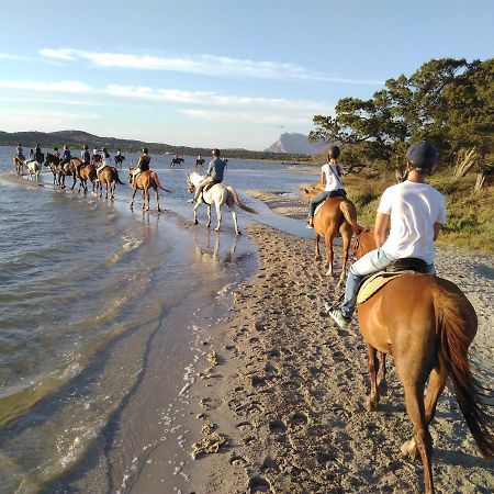 Appartamento Sette Posti Vicino Al Centro Di San Teodoro Сан-Теодоро Екстер'єр фото