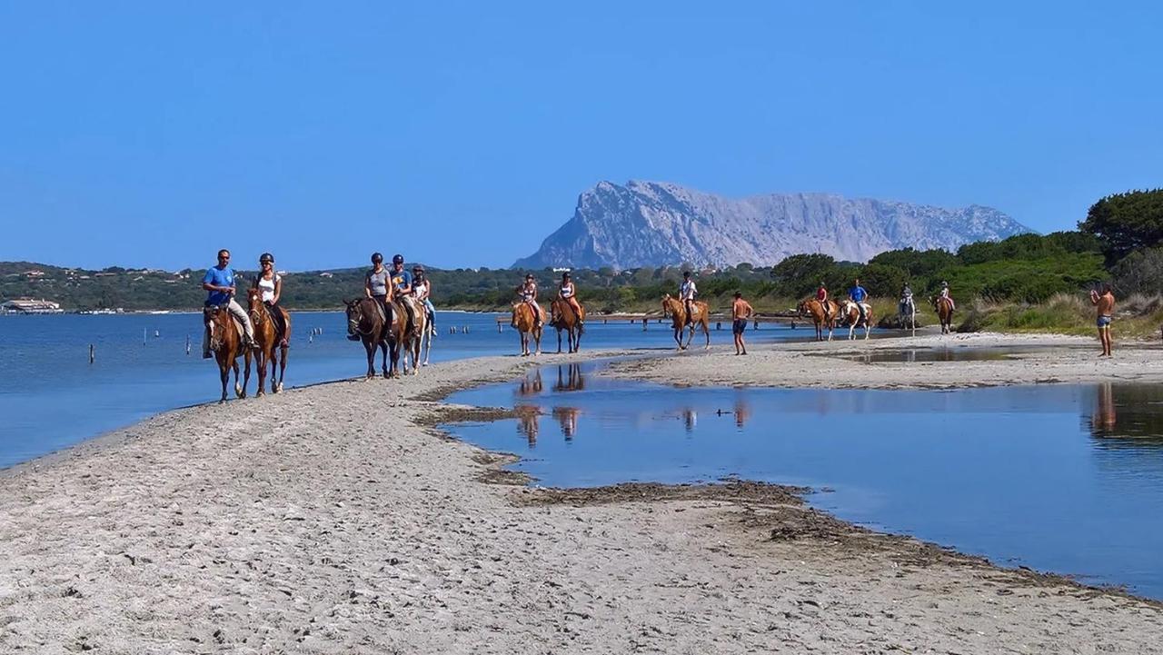 Appartamento Sette Posti Vicino Al Centro Di San Teodoro Сан-Теодоро Екстер'єр фото